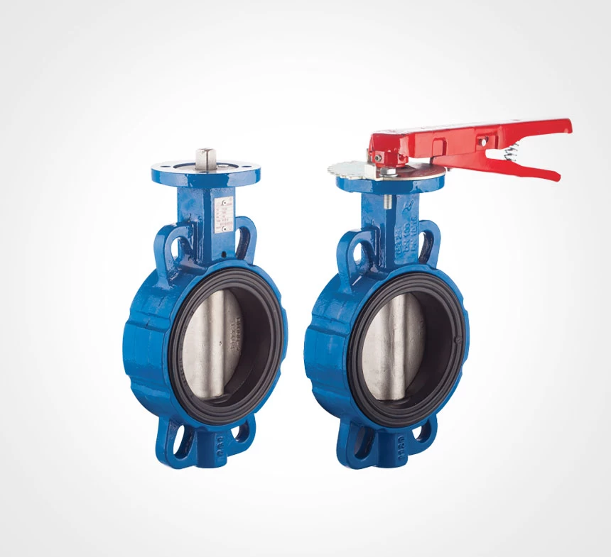 Butterfly Valve