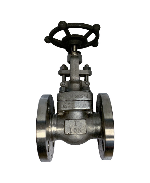 Forged Steel Flange End Globe Valve