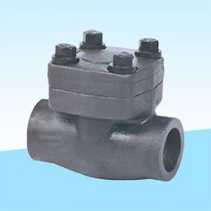 Forged Piston Type Lift Check Valve 800#