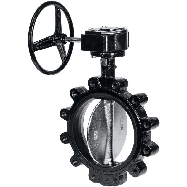 Cast Iron Gear Oprated Butterfly Valve